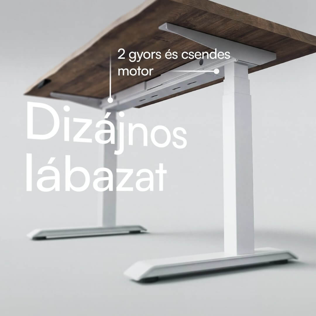 foto80.jpg