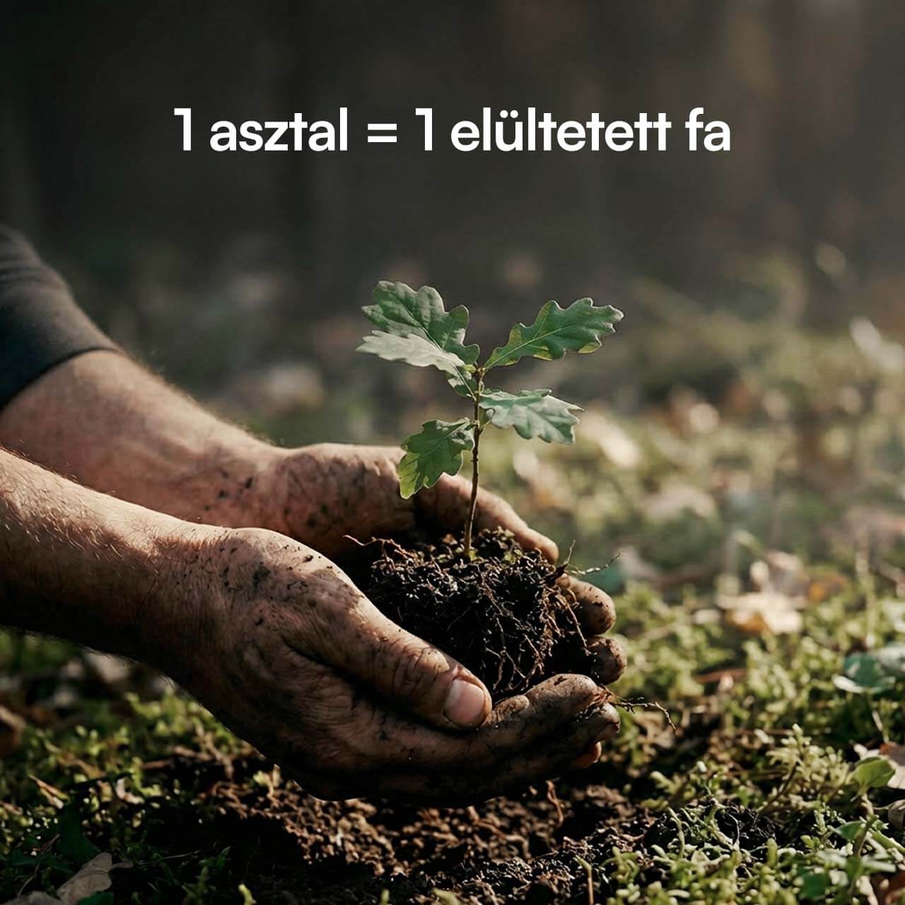 foto60.jpg