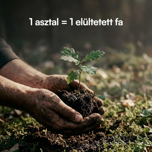 foto60.jpg