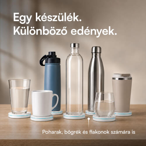 foto31.jpg